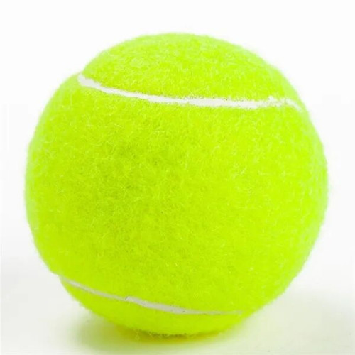 Pet Fetch Toy Tennis Ball