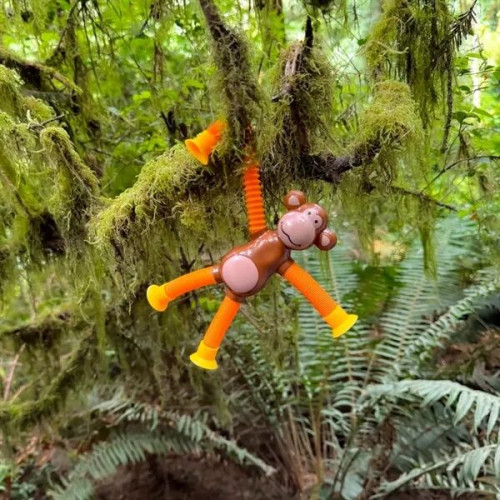 Monkey Bendy Man