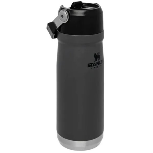 22 oz Stanley® Stainless Insulated Flip Straw Water Bottle