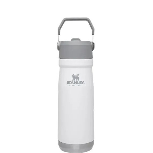 22 oz Stanley® Stainless Insulated Flip Straw Water Bottle