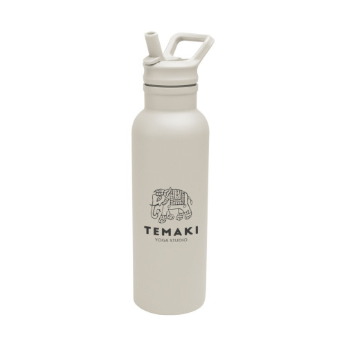 17 Oz. Hailey Recycled Stainless Steel Bottle