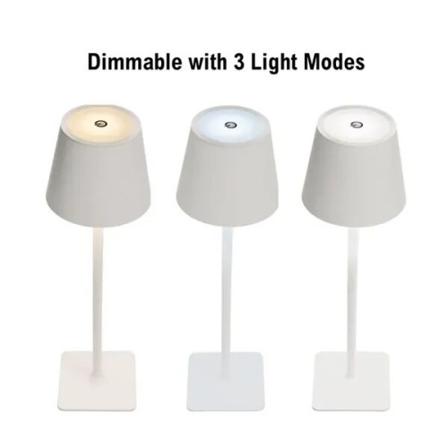 Theo LED Rechargeable Desk Lamp