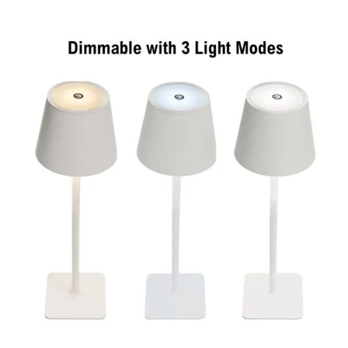 Theo LED Rechargeable Desk Lamp