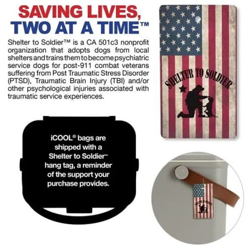 iCOOL Hale 6-Can, 5.25 Qt Hard Sided Cooler