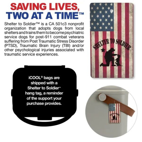 iCOOL Hale 6-Can, 5.25 Qt Hard Sided Cooler