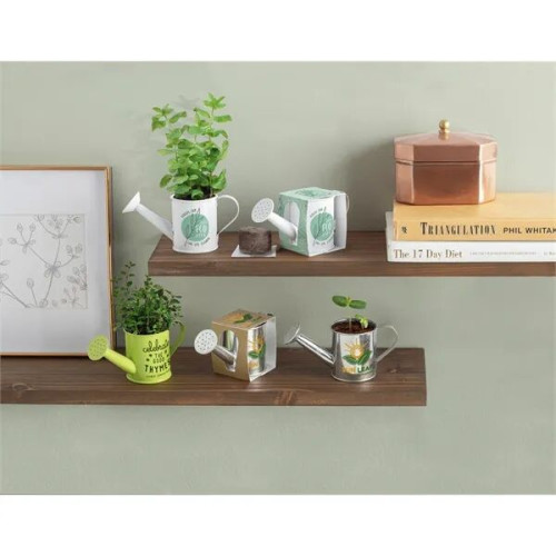 Mini Watering Can Blossom Kit