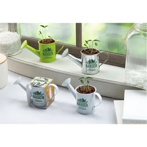 Mini Watering Can Blossom Kit