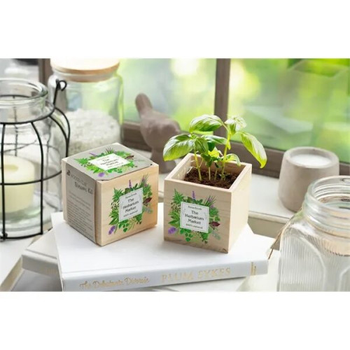 Wooden Cube Blossom Kit