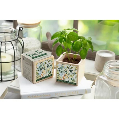 Wooden Cube Blossom Kit