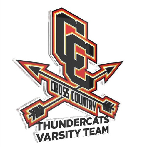 Express USA Made Custom Shape Acrylic Lapel Pins