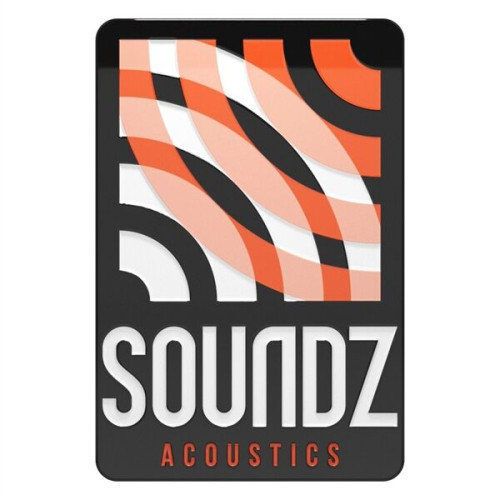 Express USA Made Custom Shape Acrylic Lapel Pins