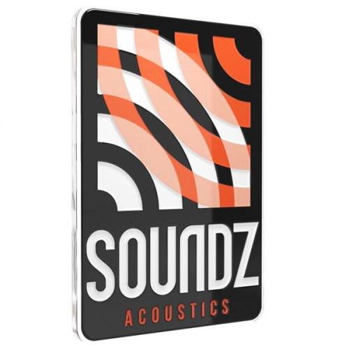 Express USA Made Custom Shape Acrylic Lapel Pins