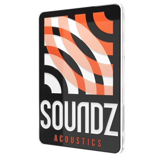 Express USA Made Custom Shape Acrylic Lapel Pins