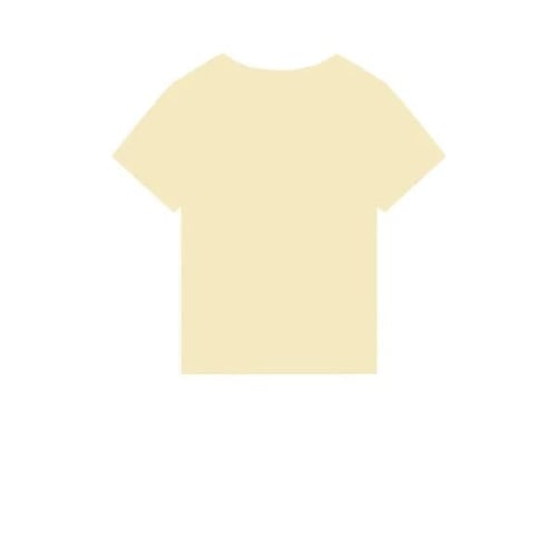 Stanley/Stella Women's Stella Isla V-Neck Tee