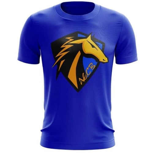 Unisex 160 GSM Brushed Milk Silk Sublimation T-shirt