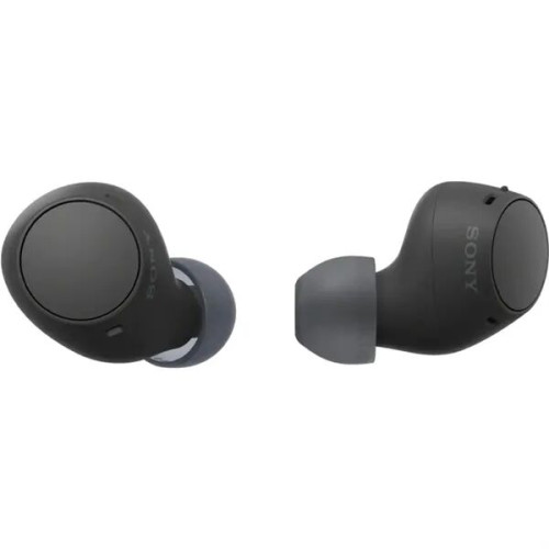 Sony® Truly Wireless Earbuds with 11 Hours Battery Life