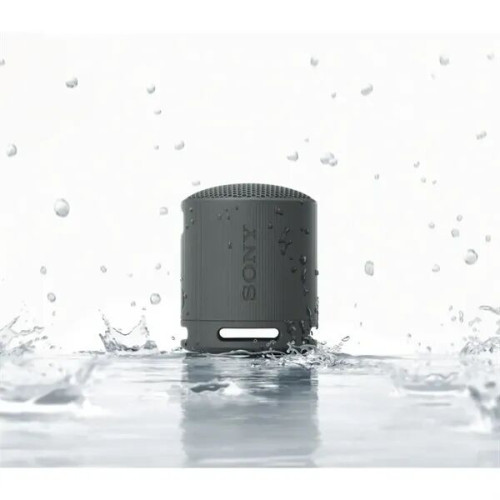 Sony® XB100 Bluetooth Speaker Powerful Sound IP67 Waterproof