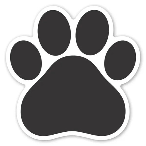 Paw Print Car Magnet 5.75 x 5.75