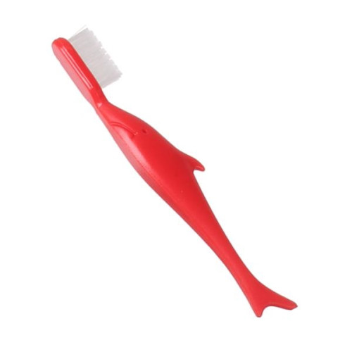 Dolphin Toothbrush