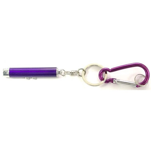 Dual function laser pointer and LED flashlight  keychain