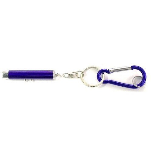 Laser pointer and flashlight key chain
