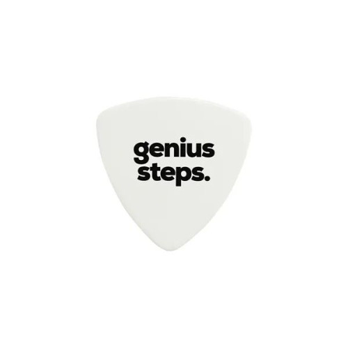 Guitar Pick