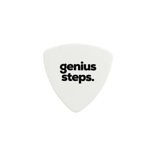 Guitar Pick
