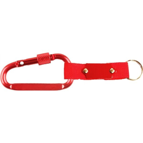 Carabiner with Secured Screw and Metal Plate