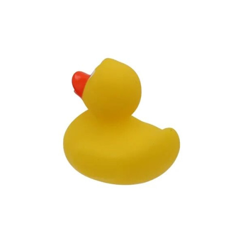 Promo Duck