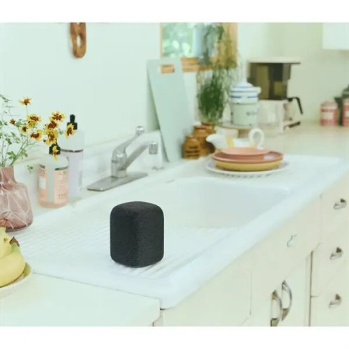 Sony® LinkBuds Portable Wireless Speaker