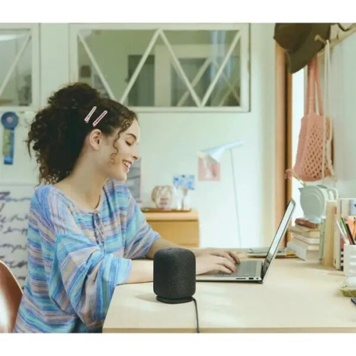 Sony® LinkBuds Portable Wireless Speaker