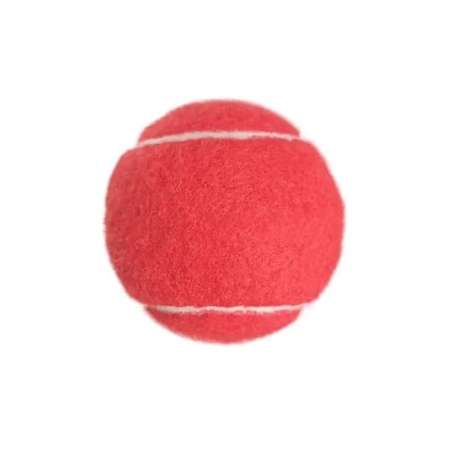 Pet Toy Tennis Ball
