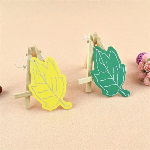 Custom Air Fresheners