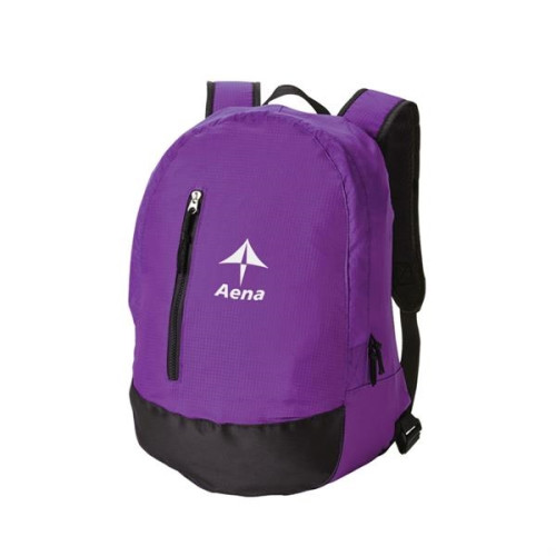 Scholar Backpack