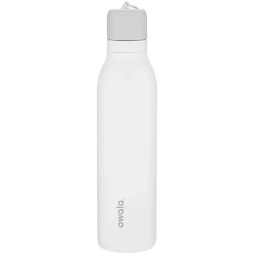 24 oz Owala Freesip Twist Steel Insulated Bottle with Handle