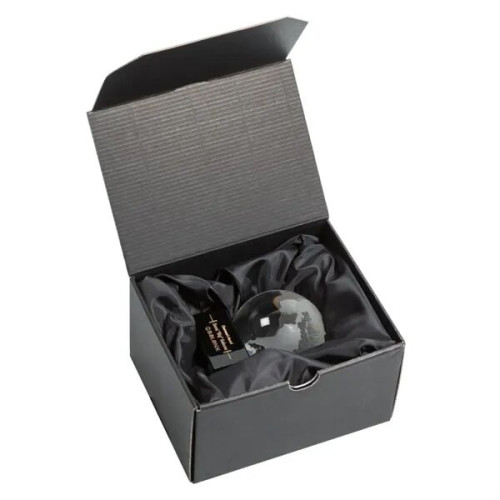 Globe Award on Paragon - Clear