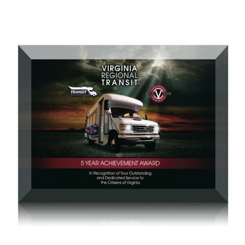 Ramona VividPrint™ Award