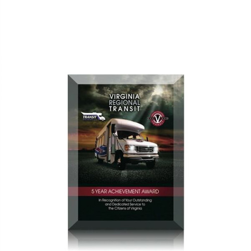 Ramona VividPrint™ Award