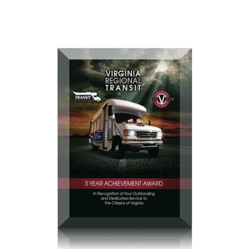 Ramona VividPrint™ Award