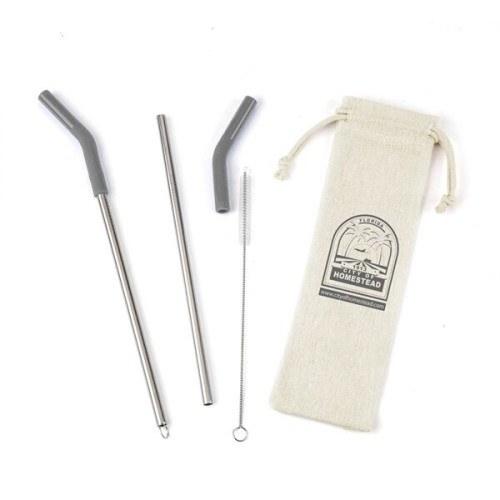 Reusable Stainless Steel Two Straw Set