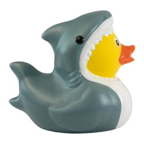 Shark Duck