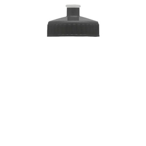 Garyline® Mini Bottle with Push-Pull Lid - 16 oz.