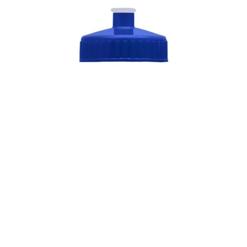 Garyline® Mini Bottle with Push-Pull Lid - 16 oz.