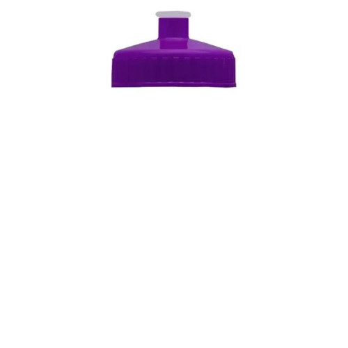 Garyline® Mini Bottle with Push-Pull Lid - 16 oz.