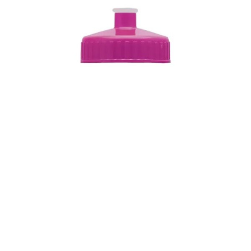 Garyline® Mini Bottle with Push-Pull Lid - 16 oz.