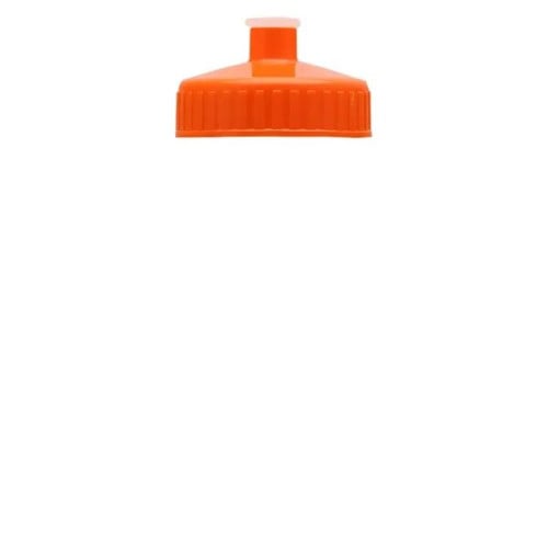 Garyline® Mini Bottle with Push-Pull Lid - 16 oz.