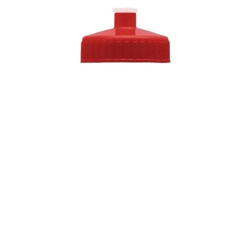 Garyline® Mini Bottle with Push-Pull Lid - 16 oz.