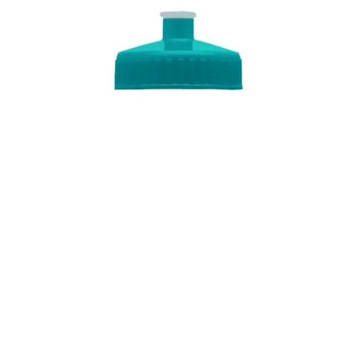 Garyline® Mini Bottle with Push-Pull Lid - 16 oz.