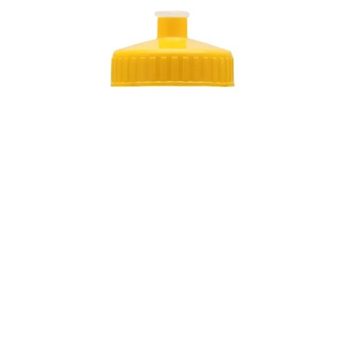 Garyline® Mini Bottle with Push-Pull Lid - 16 oz.