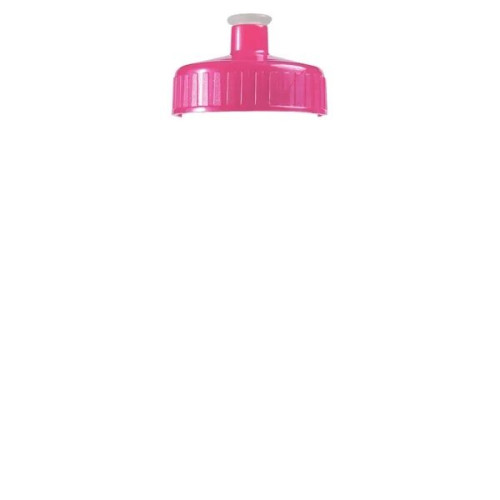 Garyline® Clear Bottle with Push-Pull Lid - 20 oz.